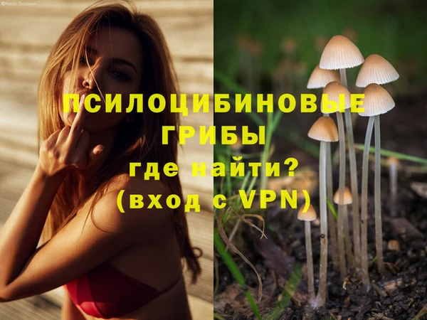 а пвп мука Абаза